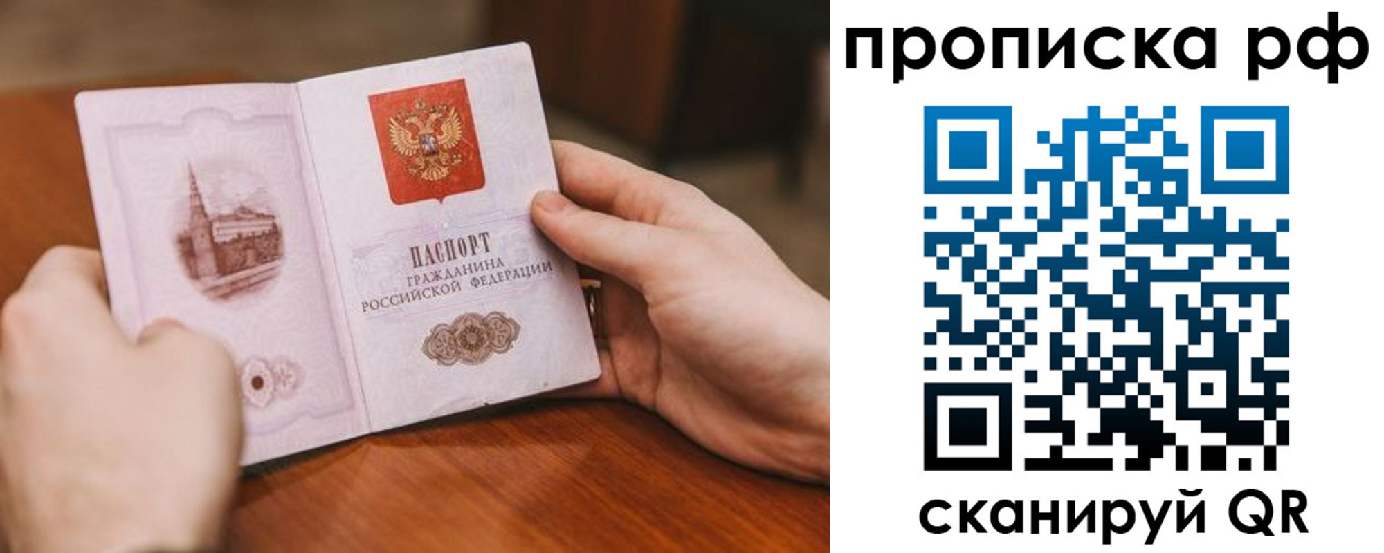прописка поиск в Черноголовке